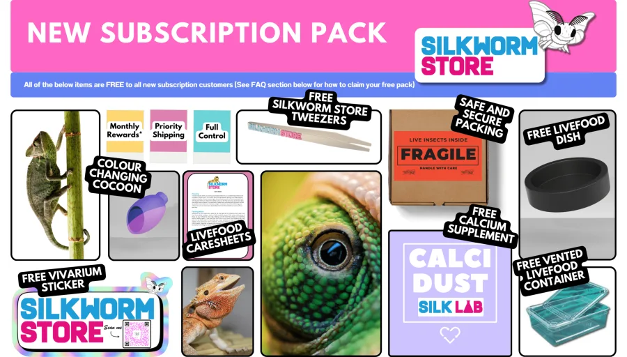 Seven-piece starter kit including tweezers, dish, vented container, calcium supplement, sticker, caresheets and colour-changing cocoon