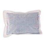 Heat Pack (Keep insects warm in the post)