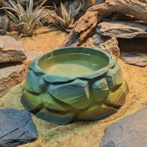 Reptile Water and Food Bowls Rock