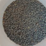 Silkworm eggs Bombyx Mori Livefood eggs - Direct from breeder to your door